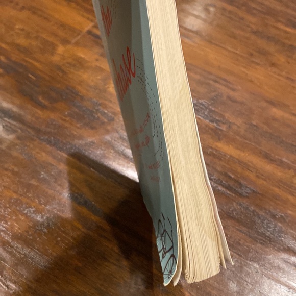 2 Christian Dating & Intimacy Books | Trusting God with Your Happily Ever After - Picture 11 of 13